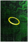 Picture49.png